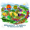 Hunter valley vineyards